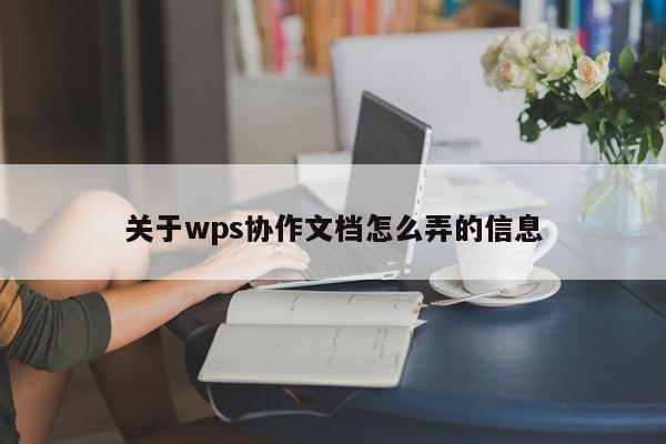 关于wps协作文档怎么弄的信息